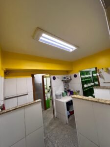 8b3c4ff3-cb66-472f-9f72-0e78ec22e2ce