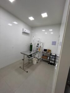 a9938b34-5b75-4d46-b55e-535d8dbafc6c