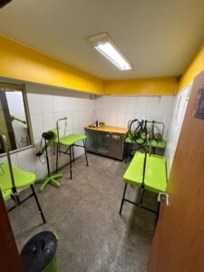 da244435-08d6-40e5-9f6b-45addadb6262