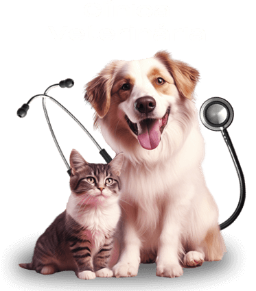 sl-veterinaria